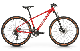 MEGAMO BICI MTB FRONT DX3 29" RED 2025